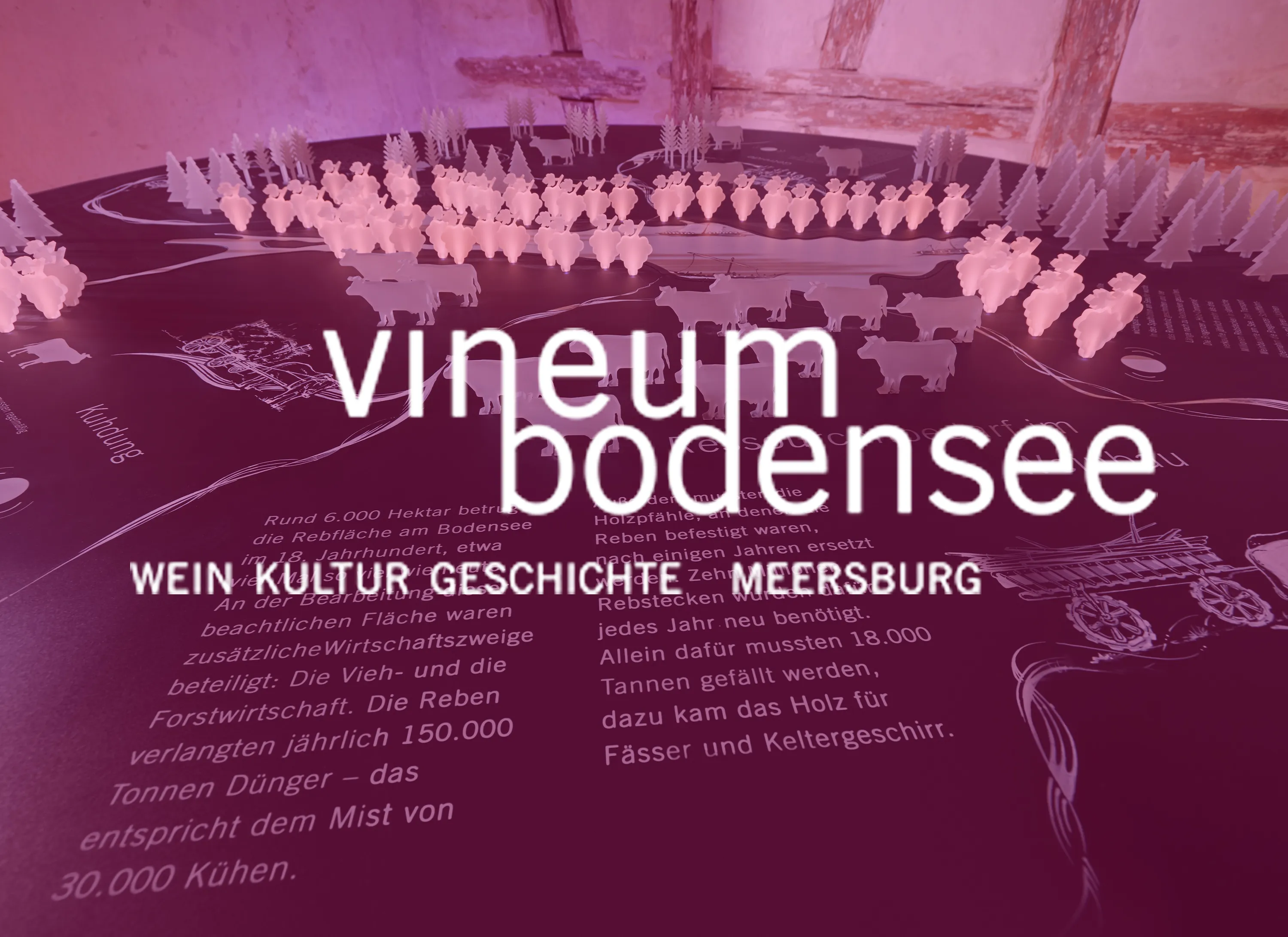 vineum bodensee Meersburg - Studio Eminent